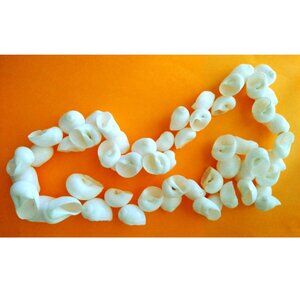 Tropical Shell Necklace Bright White Slip-On No Clasp